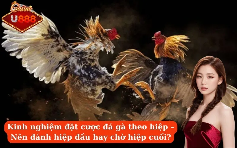 Kinh nghiệm đặt cược đá gà theo hiệp – Nên đánh hiệp đầu hay chờ hiệp cuối