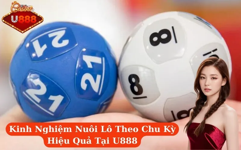Kinh Nghiệm Nuôi Lô Theo Chu Kỳ Hiệu Quả Tại U888