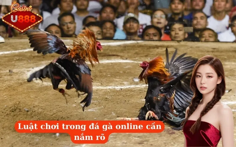 Luật chơi trong đá gà online cần nắm rõ