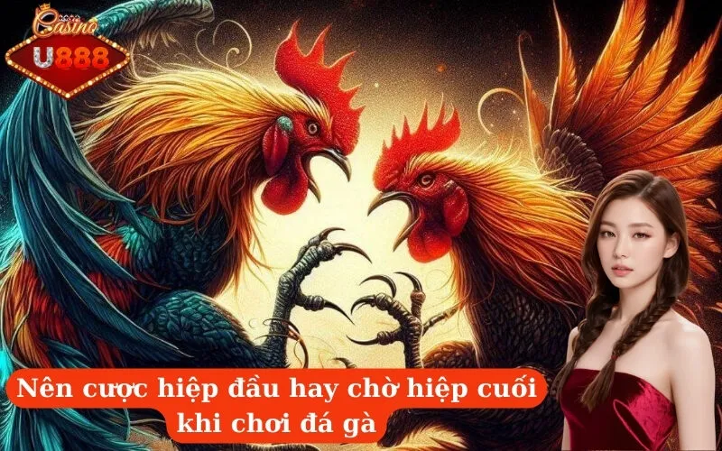 Nên cược hiệp đầu hay chờ hiệp cuối khi chơi đá gà